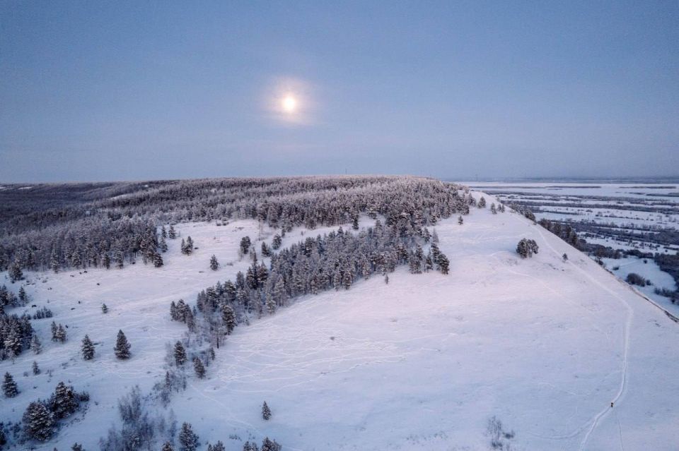 ����������. ���� ������ ��������