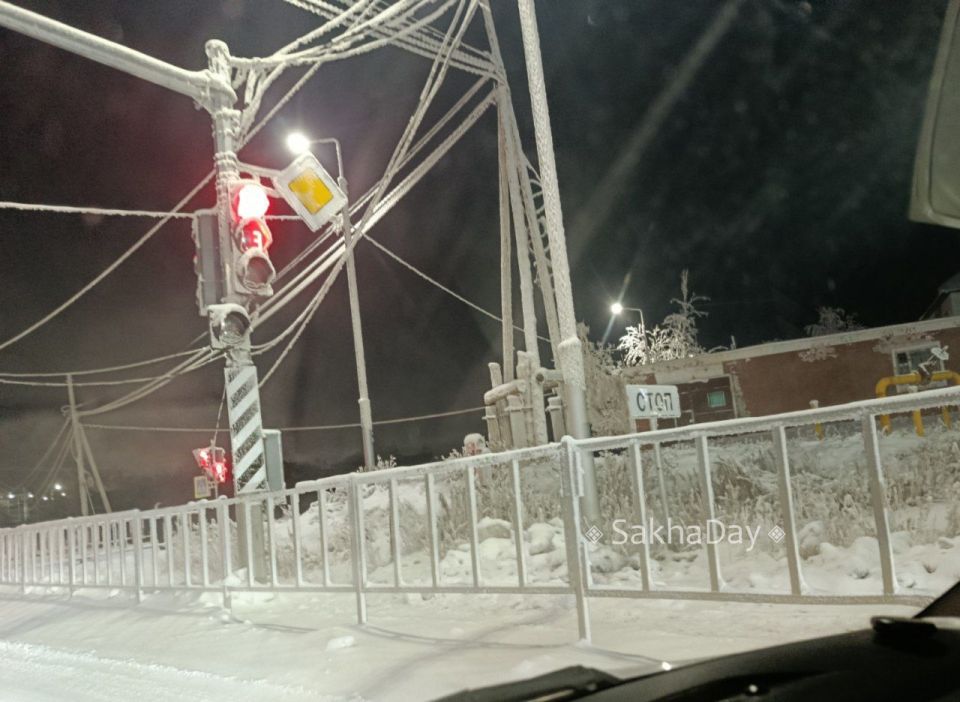 ��� ����� �� ���? #������������