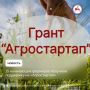 По итогам конкурсного отбора в 2025 году 15 фермеров, в том числе участники специальной военной операции и близкие родственники участников СВО, получили грант «Агростартап» в общей сумме 64 млн рублей