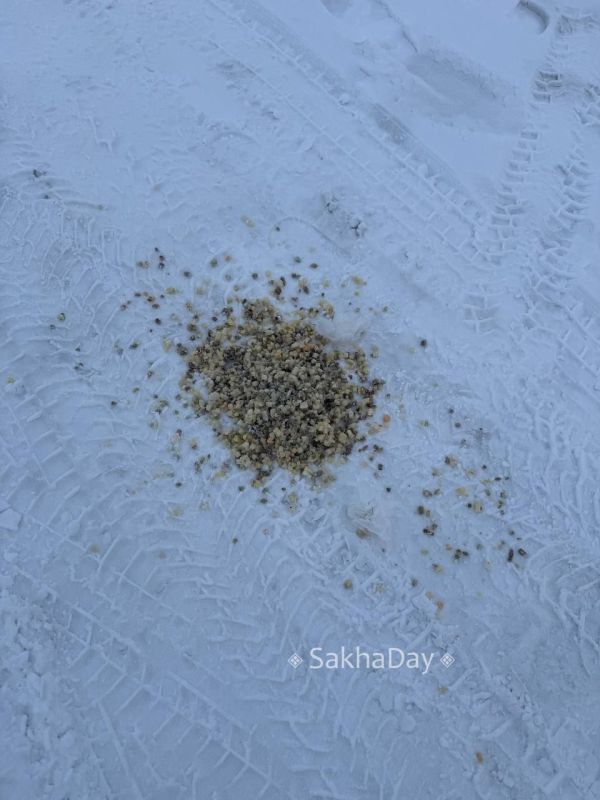 #����� �������� ����������, � ���-�� ������� ������