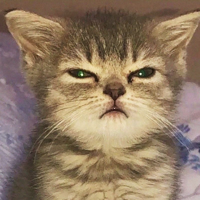 ���� ����� ����������� ����� ���������� �������