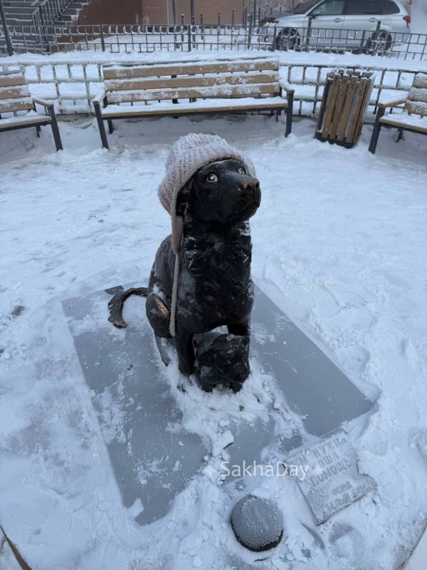 ������� � �������� ��������