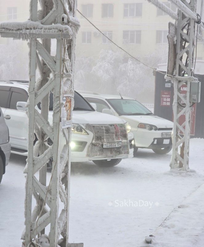 ������ ��������� #������������