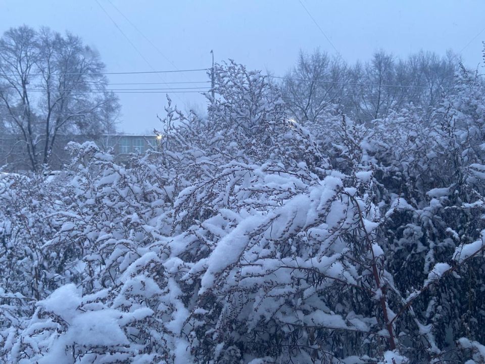 ������ ����, ������!. ������� � ������� ����� ��������� ����, �����