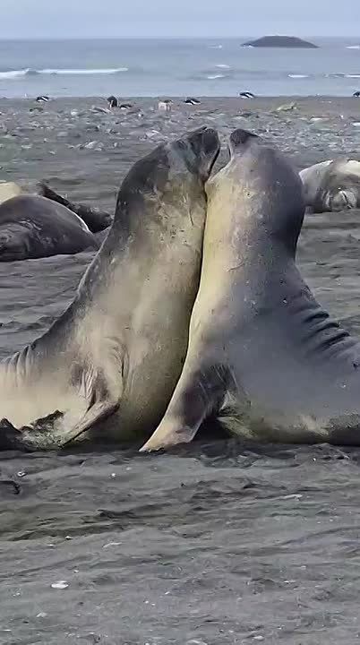 ������� �� ������ ��������: