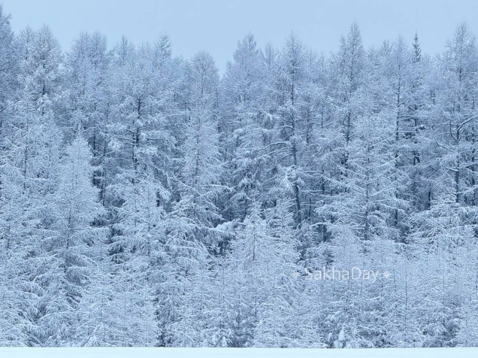 #����� ����� ����� � ������? ��������� � �����, �������� �����