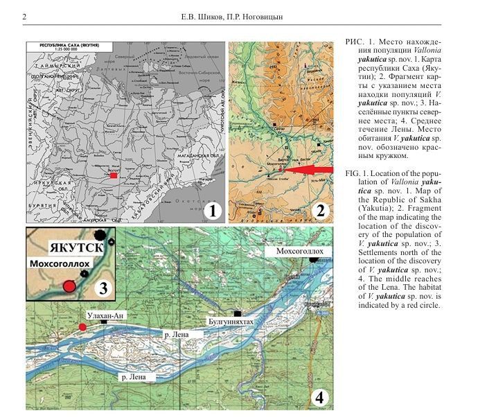 � ������ �������� ������� ������ ����� ��� ������, � ������ ��� � ����� ����������