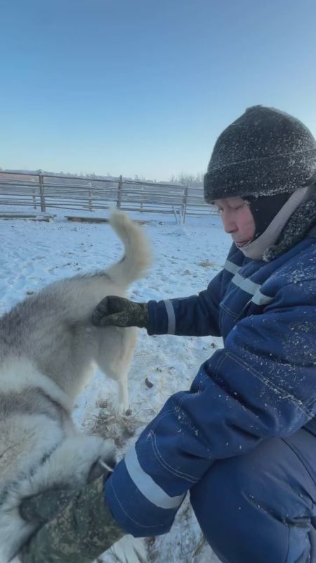 �������� ��������� ���������� �����: