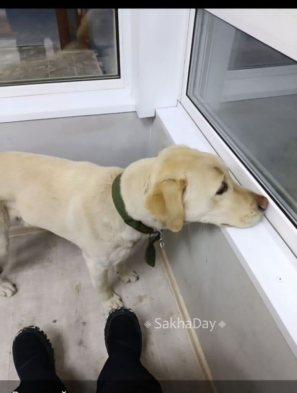 �����, �������, ��������� ������ ���������