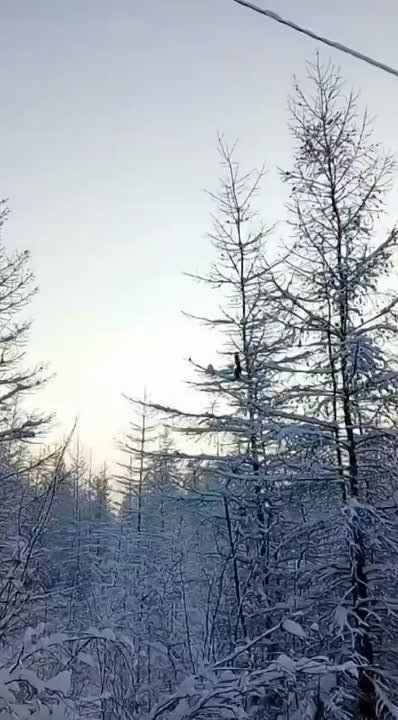 ������ �������� � ����� �� �����-����������!