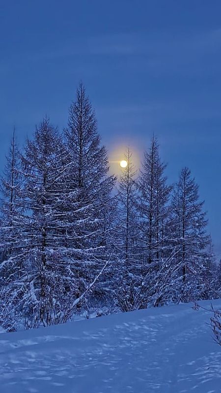 ������ ������ ������� ��������� � ��������� ���� ������, ������