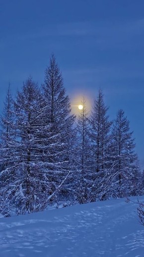 ������ ������ ������� ��������� � ��������� ���� ������, ������