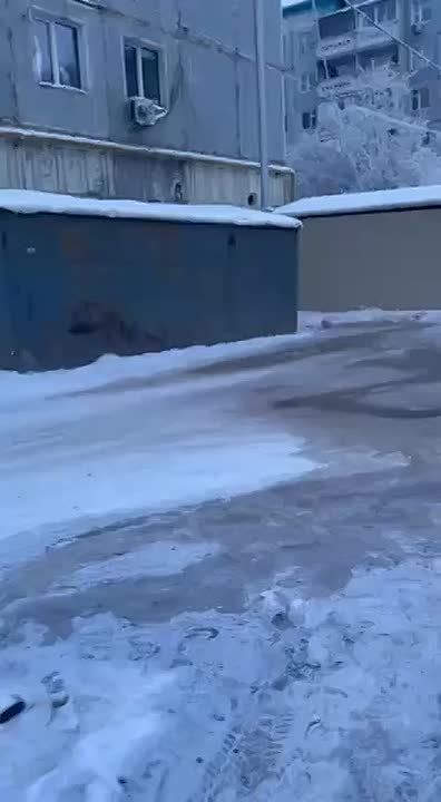 #����� ��� ����� ������� ������ ���� �� ����������, 90/5