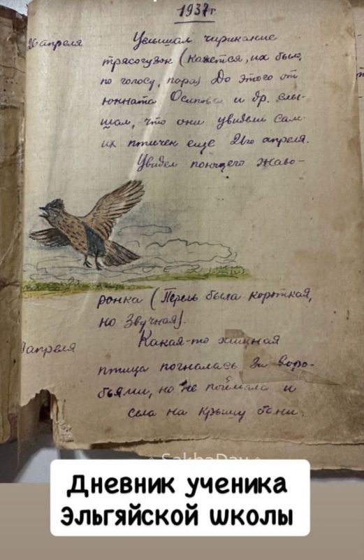 ������� ������� ������ ����������� �������� (1915-1985 �.�.) - ������� ��������, ���������� ����� ������� � �������������� ������ � ���������� ����� ����������� �����