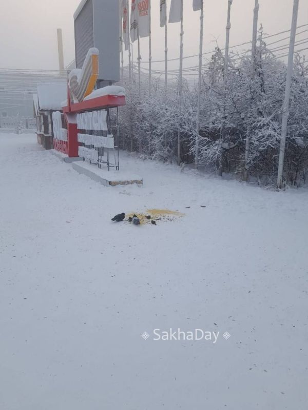 ���� � �����. #���sakhaday