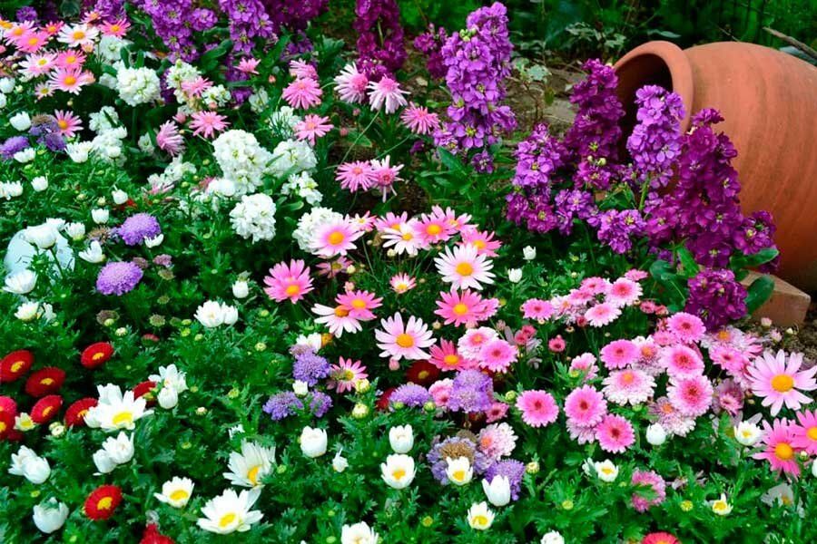 ����� � ������������� �������� ��� ������