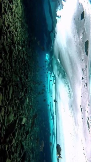 ������ ������ �������� .. ���� ��������� .. �����