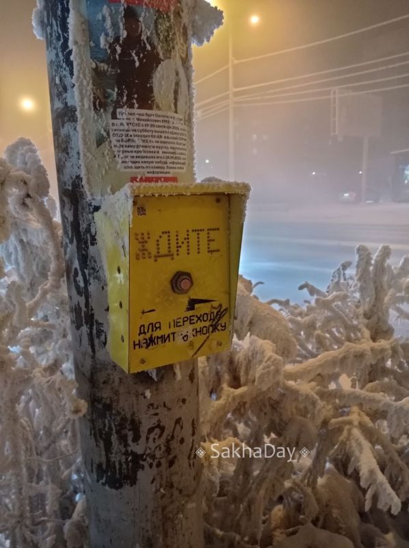 � ������� ������� ����� ���������� ����� ������ ����������