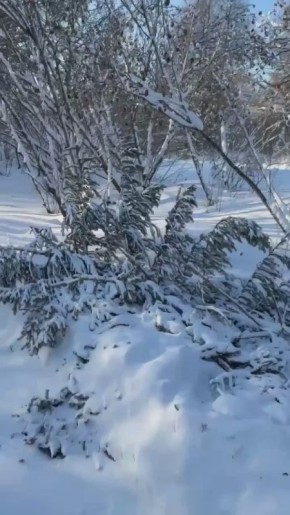 ����� �������������� ������ ��������� � "���������", ��������� ���