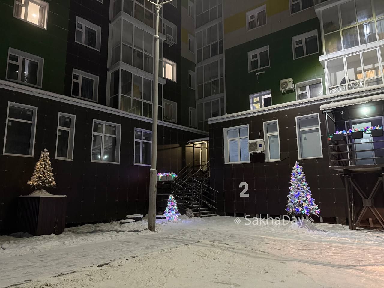 Елочки во дворе одного дома Елочки во дворе одного дома