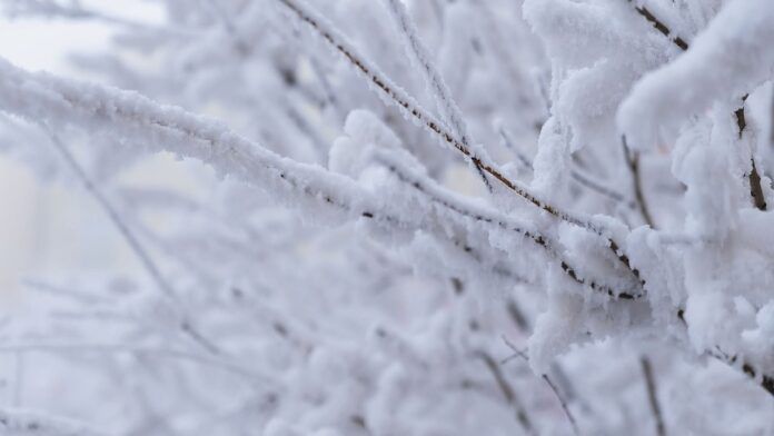 ������ �� -52 �������� ���������������� � ����� ������