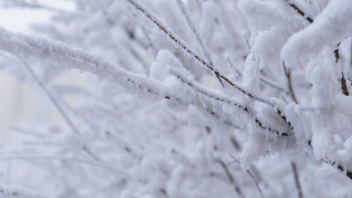 ������ �� -52 �������� ���������������� � ����� ������