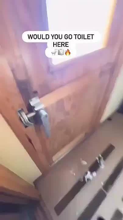 � ���������� � ��������� ��� ���� ������������ ����������, ������� �� ������� �������� �� ������ ��������