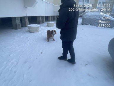 В Губинском округе проводятся рейдовые мероприятия совместно с Управлением ветеринарии