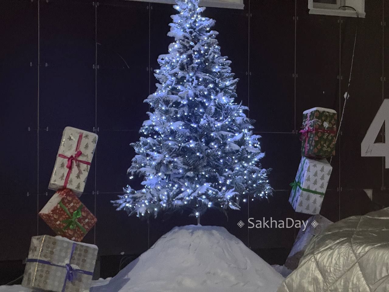 Елочки во дворе одного дома Елочки во дворе одного дома