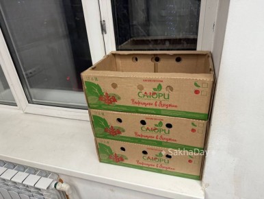 #пишут В Кумире разобрали сметану