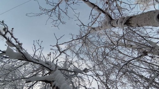 ������� ������ � ������� �� 9 ������