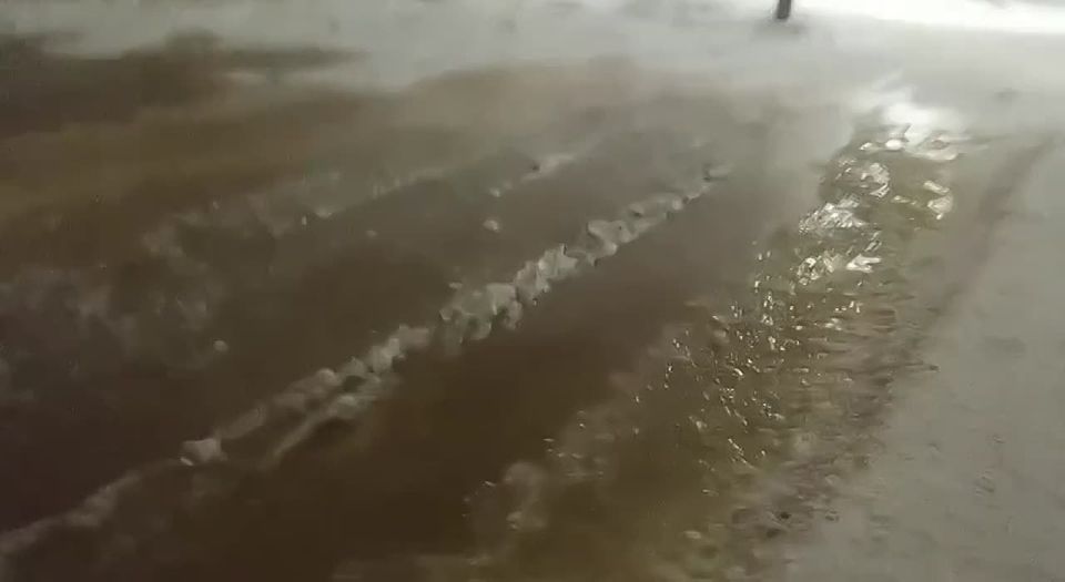 #�������� �� ������� �� �������� �� ��������� �� ���� �����������