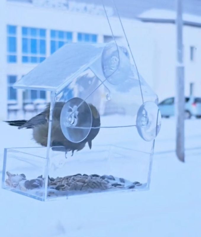 ������� ���� �� ������ ��������� ����� ��������� ������ ������ ������