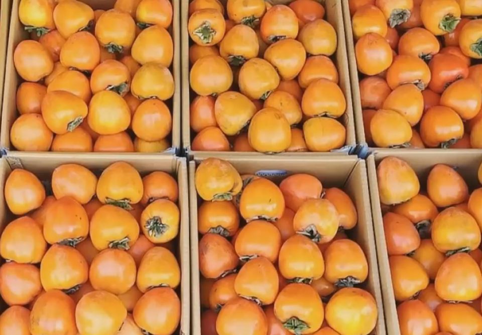 ������ ����� ��� �������� ���������