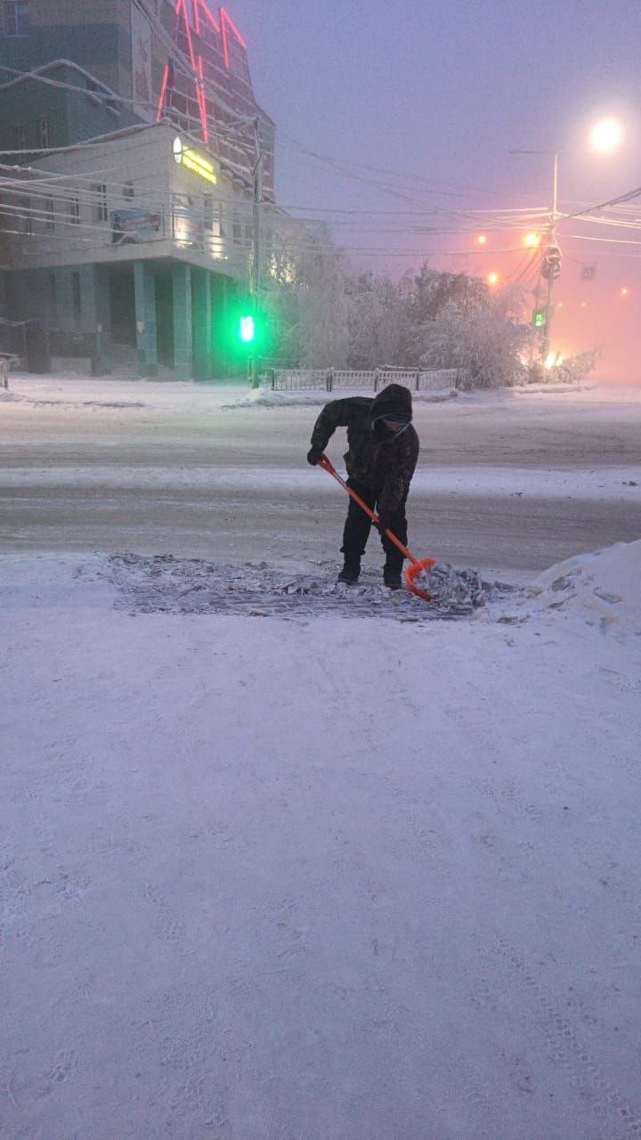 И пока солнце, робко выглядывая из-за пушистых облаков, окрашивает снежинки в нежные оттенки розового и золотого, они, как стражи порядка и красоты, неустанно сражаются со стихией И пока солнце, робко выглядывая из-за пушистых облаков, окрашивает снежинки в нежные оттенки розового и золотого, они, как стражи порядка и красоты, неустанно сражаются со стихией