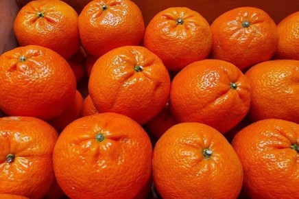 ��� ������� ���������, ����� �� ��������� �����: ������� ������ � �������� �� �������