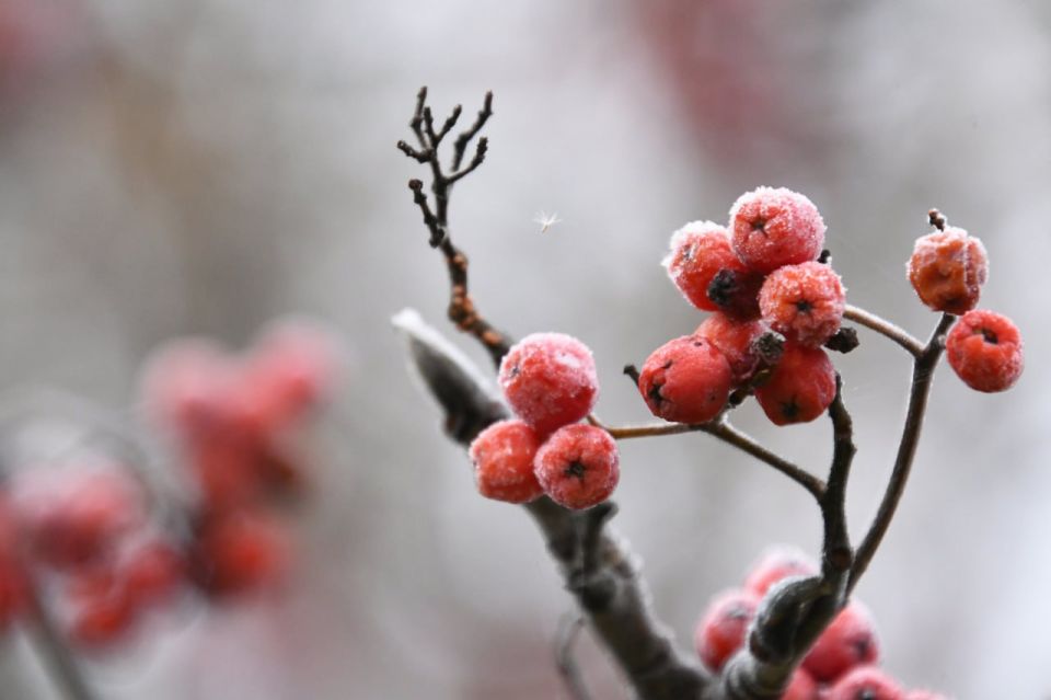 ������ ����, ������!. � ������� 10 ������ ���� ����� ����� ��������� �� ������� -39-41 ������