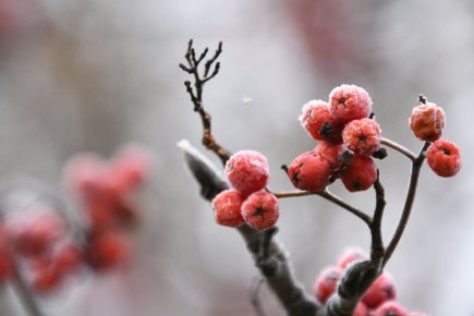 ������ ����, ������!. � ������� 10 ������ ���� ����� ����� ��������� �� ������� -39-41 ������