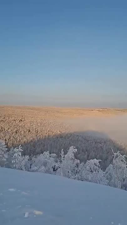 #����� �� ��� ����� ������ ����� �� �� ��, ������ ����� �������