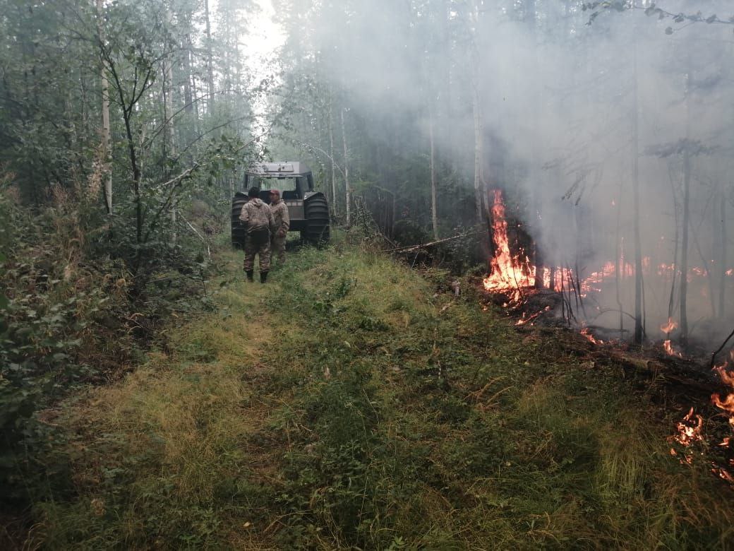 Артем Яковлев - о работе спасателей в Сунтарском улусе Артем Яковлев - о работе спасателей в Сунтарском улусе
