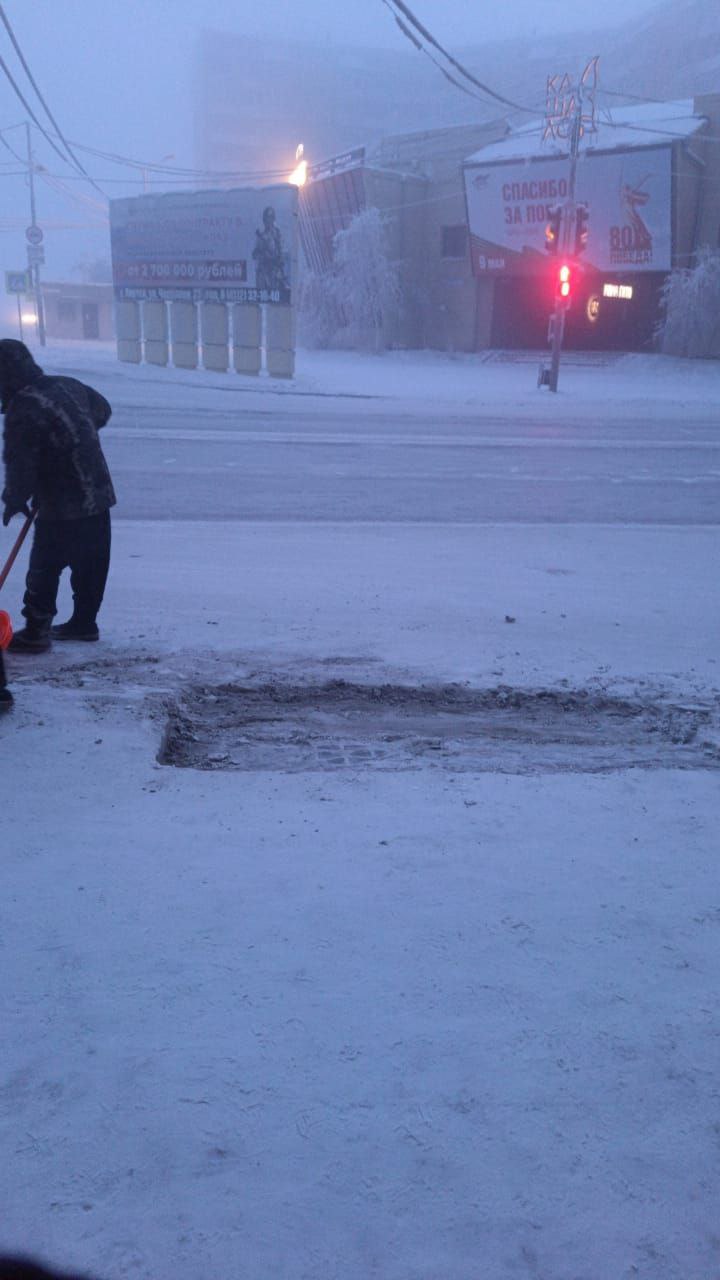 И пока солнце, робко выглядывая из-за пушистых облаков, окрашивает снежинки в нежные оттенки розового и золотого, они, как стражи порядка и красоты, неустанно сражаются со стихией И пока солнце, робко выглядывая из-за пушистых облаков, окрашивает снежинки в нежные оттенки розового и золотого, они, как стражи порядка и красоты, неустанно сражаются со стихией