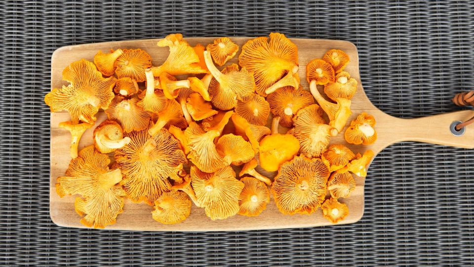 ������� �� ���� �������������� ������ ���: ��������� ������ �� ���-������