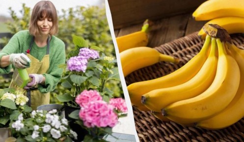 ��� ������� ��������� ��������� ����� ������� �������� ����� ���������