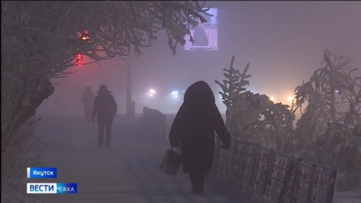 ������� ������ � ������ �� 12 ������