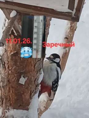 ���� � ������, ��������: �����, ���� � ���� ����� ������ ��������� ����� ����