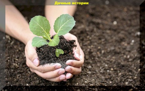 �������� ���������: ��������� �� �� ����������� ���������?