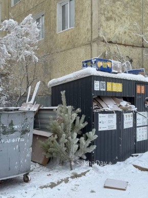 Ну все, сезон новогодних праздников закрыт