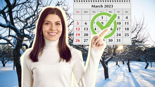 �� ����������� ������: ������� �������� � ��� ���� �������� ��������� ������