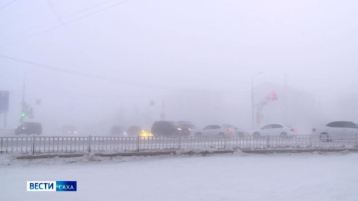 ������� ������ � ������� �� 12 ������