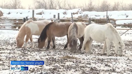 ������ ����� ���������� ��� �������������� ������� ��������� ������